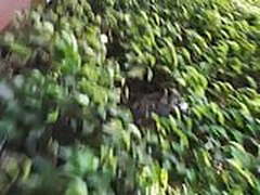 I WANT TO ENCOXADA HER Online | xvideosearch.com