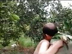 Forest HD | xvideosearch.com