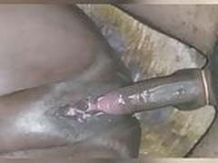 Ridiculous PHAt pussyCAt HD | xvideosearch.com