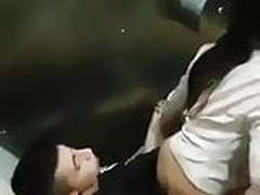 Teen Slut Public Toilet Ride Full Video | xvideosearch.com