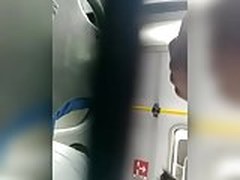 asss rapido HD | xvideosearch.com