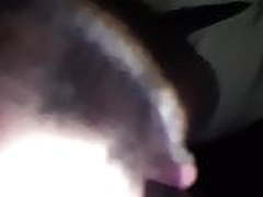 Pk blowjob Full Video | xvideosearch.com