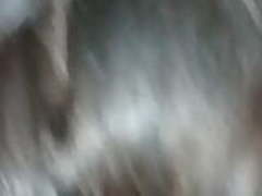 amiga argentian rocio gauchita Online | xvideosearch.com