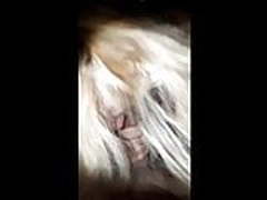 Hot blonde French slut sucking a dick on camera HD | xvideosearch.com