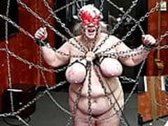 29-Feb-2020 Udders caught in a web of pain Hot Clip | xvideosearch.com