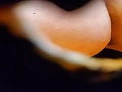 53 wc spy Online | xvideosearch.com