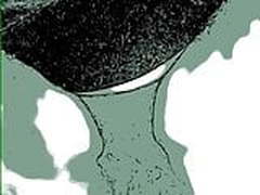 toon up Full Video | xvideosearch.com