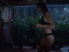 Denise Richards - Valentine HD | xvideosearch.com