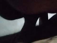 Hot Rekha bhabhi Full Video | xvideosearch.com