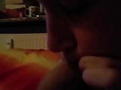 she blows my dick Free XXX | xvideosearch.com