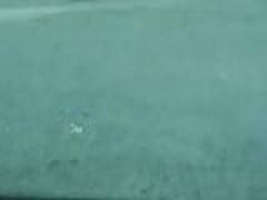 esposa se mostrando Free XXX | xvideosearch.com