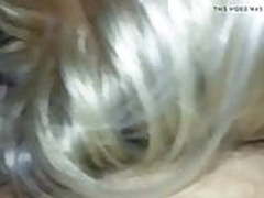 Ajmoo Hot Clip | xvideosearch.com