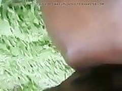 Wild Kwap Lo Bush Online | xvideosearch.com