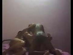 Ffm HD | xvideosearch.com