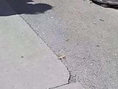 Miniskirt Online | xvideosearch.com