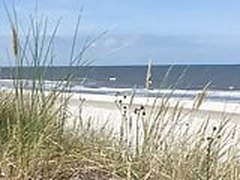 Caught masturbating in the dunes at beach Online | xvideosearch.com