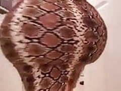 Stepmom & Stepson Affair 102 (Big Ass Latina Stepmom) Online | xvideosearch.com