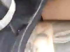 Lebanese Car Fuck Lebanon Full Video | xvideosearch.com