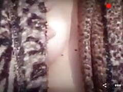 Teen play with nipple on Periscope Free XXX | xvideosearch.com