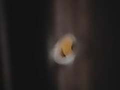 Suegra2 Online | xvideosearch.com