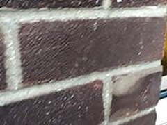 workman spying on housewife masturbating through the window HD | xvideosearch.com