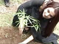 Celena Jaitley boobs cleavage Full Video | xvideosearch.com