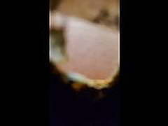 wc 55 Online | xvideosearch.com