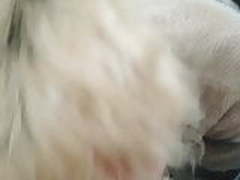 Fast blowjob from teen and listen to the music Free XXX | xvideosearch.com