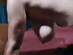 Candy Samples Gets Fucked On The Boat Online | xvideosearch.com