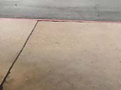 Phat ass Hot Clip | xvideosearch.com