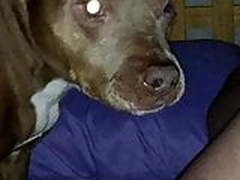 wife part 2 Hot Clip | xvideosearch.com