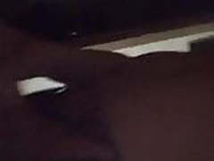 Hey baby doll HD | xvideosearch.com