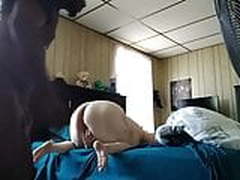 Creampie Hot Clip | xvideosearch.com