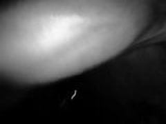 Late night stroking HD | xvideosearch.com