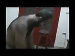 egypt Doggy Free XXX | xvideosearch.com