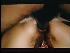 Sodo punition Online | xvideosearch.com