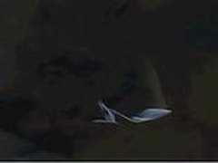 snr hot hot Full Video | xvideosearch.com