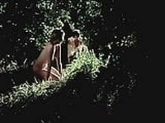 Dream Free XXX | xvideosearch.com