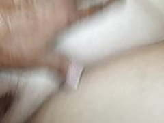 Wifes wet pussy Hot Clip | xvideosearch.com