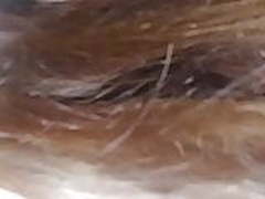 Gf loves anal Hot Clip | xvideosearch.com