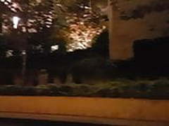 Herlooks Free XXX | xvideosearch.com