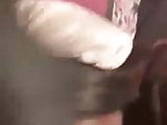 This bitch been sucking dick since high school Free XXX | xvideosearch.com