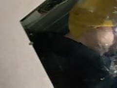 Daisy alex Free XXX | xvideosearch.com