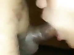 Blow job HD | xvideosearch.com