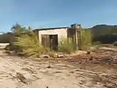 O Homem (maluco) do Casebre 2 Online | xvideosearch.com