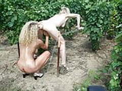 2 lesbian moms and boy in vineyard Online | xvideosearch.com