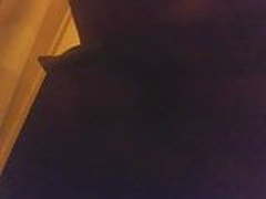 pussy,cum Free XXX | xvideosearch.com