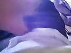 video al mejor amigo del novio Free XXX | xvideosearch.com