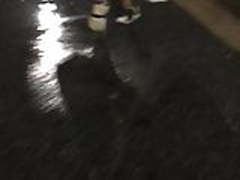 Big ass in leggings Hot Clip | xvideosearch.com