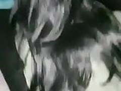 British wife Full Video | xvideosearch.com